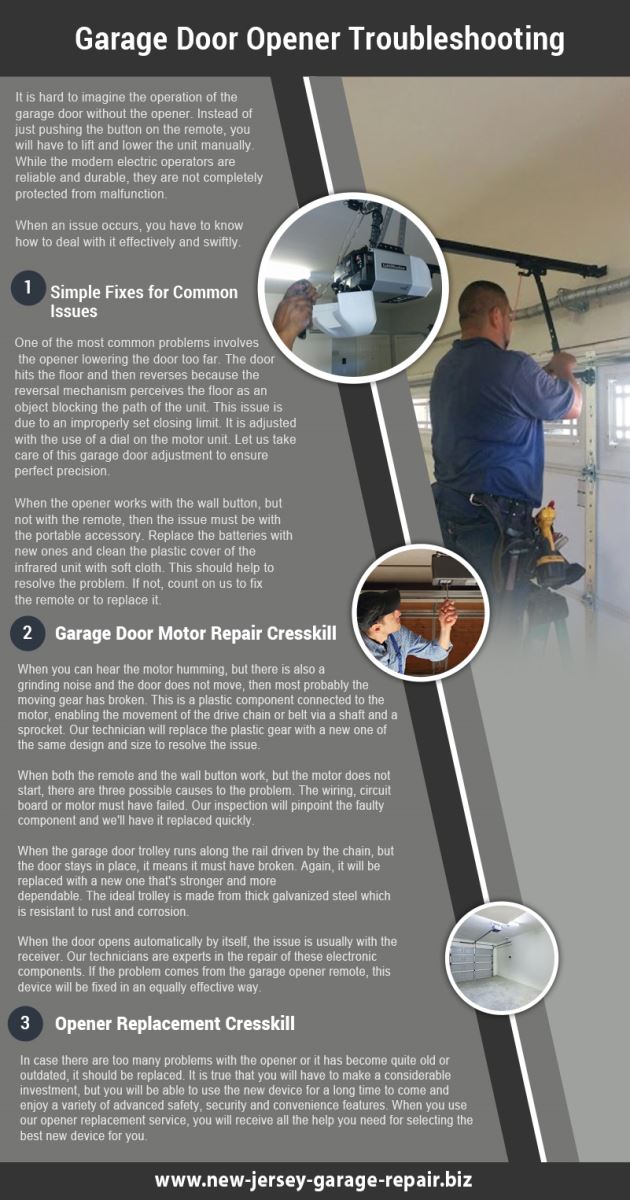 Garage Door Repair Cresskill Infographic